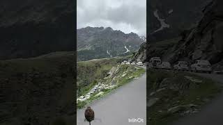 @Poojayadavofficial1 @UltraMovieParlour @IvanKv @animalsnew.09