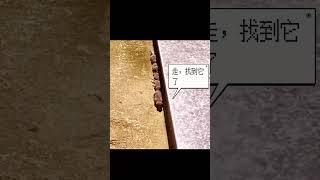 4 декабря 2023 г.