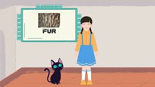 Have got/ Grammar Story A1/Learn Grammar#learningenglishthroughstories#grammarstories