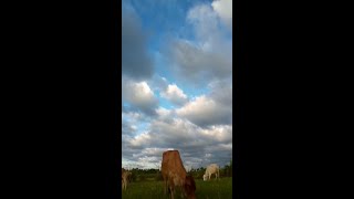 Time lapse on Cloud|#nature #shorts