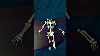 skull edits#shortsforus #funnyshorts #anime #viral #youtube #ytshorts #ytshortsindia #yt #ytshorts