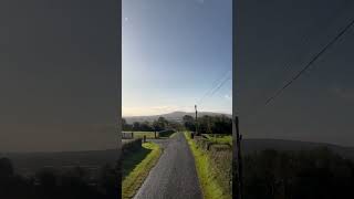 Driving down a road in the Irish countryside 👀 #ireland #northernireland