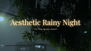 Aesthetic Rainy Night Ambience | Street Light View & Calming Rain Sounds