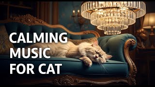 Comforting Cat Sounds 🐾 Relieve Anxiety, Support Recovery, and Create a Soothing Restful Space