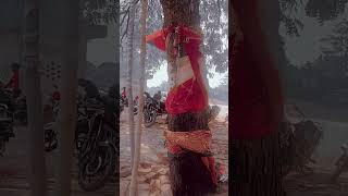 #mtrced #ruralindia #villagelife #reallifevillage #love #indianrealvillage