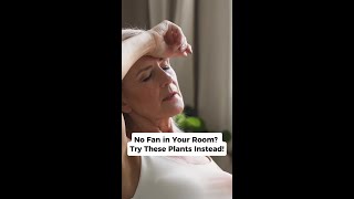 No Fan? These 3 Plants Keep It Cool Naturally  #shorts