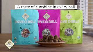 Have a Ball Product Demo Video