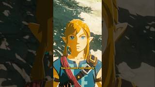 Link Can Cosplay!