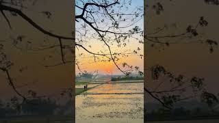 শুভো সকাল #travel #lifeisbutadream #bangladesh #nature #lake