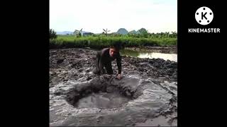 অদভুত প্রাণি