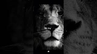 no love no cry only fly #cinematicreels