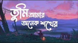 Tumi Amar Onek Shokher Piran Khan Jony Lofi Remake তুমি আমার অনেক শখের Ahmed Shakib II AX Happy Song