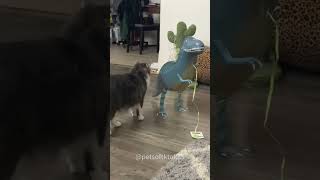 Cat with toy🤣🤣🥰 #cat #funnyanimal #funnyanimls #funny