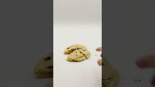 Cookie Co Chocolate Chip Cookie- Grab a slice before they are gone!