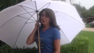 SOS Hurricane Isaac Indiegogo Campaign - By Vivian Greene