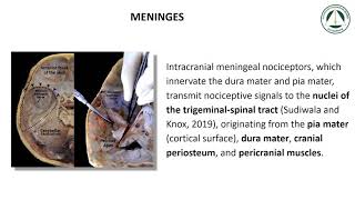 SCIENTIFIC DATA ON SKULL TISSUES