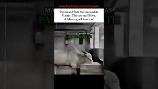 Mahadev as Pashupatinath Lord of Every Living Soul🔱🙏🏻 #hindudeity #spiritualhealing