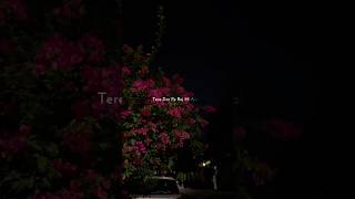 This song🌷✨ | fakira song | lyrical whatsapp status | #trendingsong #fakira #fakirasong #love #viral