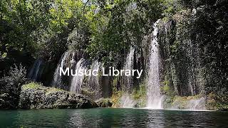 Aural Nights by MusicbyAden (Copyright free music)