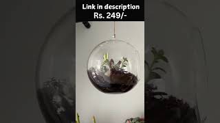 Home Makeover on a Budget: Stunning Decor! | #BasketBuddy #budgetfriendlydecor #homedecor