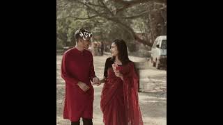 Tomare dekhiber mone cay..তোমারে দেখিবার মনে চায়...