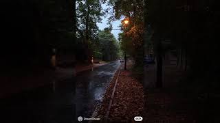 Cold evening #scenery #wetstreets #eveningwalk