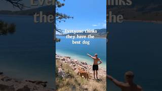 Unconditional Dog Love 🐶 | We Are Their Forever Family🩷 #shorts #dog #puppy #heartwarming #foryou