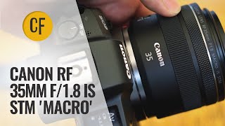Canon RF 35mm f/1.8 IS STM「マクロ」レンズレビュー（サンプル付き）