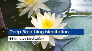Deep Breathing Meditation | 44 Minutes Meditation | Inhale... Exhale...