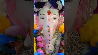 तांबडे माळाव लवा घेतय हवा #ganpatidj2025 #marathisongs #dholtasha #sonalibhoir #ganeshutsavspecial