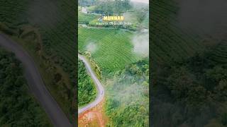 Munnar -Kashmir Of South India. #munnar #travel #incredibleindia #travelblogger #kerala #viralshorts