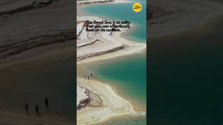 Unique facts about The Dead Sea. #factshorts #uniqueshorts #shorts