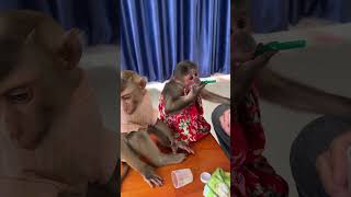 Monkey funny hugs are the best 🐒😂🤗 #LovelyBond #HappyHeart