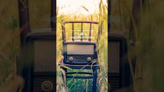 Chand se parda kijiye ❣️❣️❣️ #besthindishorts #hindisong