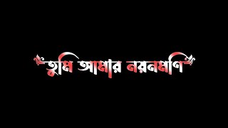 Tumi Amr Noyon Moni  💞  Bengali Black Screen Status  🖤 | Romantic Status 😘 | Bangla Lyrics Status |