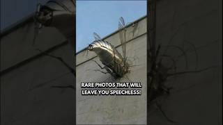 These Rare Photos the Internet Can’t Stop Talking About!