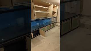 1500 litre Tropical Aquarium #aquarium #fishtank #customaquarium #aquariumdesign