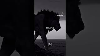 #deepthinkers #philosophy #philosophyvideo #motivation #deepthinking #quotes #selfhelp