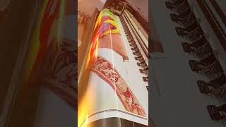 #real#love#vlogsvideo#telgusongs#flex#vlogsvideo#vlogsvideo