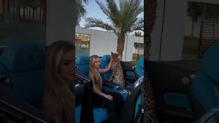 Luxury life 4k clips |millionaire life style 💫💸|#money #wealth #millionaire #success #motivation