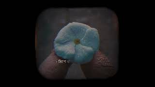 Bangla lyrical video 🥀#lyricvideo #lyrics #bangla #banglalyricalvideo #banglasong #trending #shorts