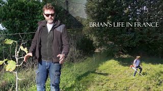フランスの田舎の中心にある農場で仕事をする