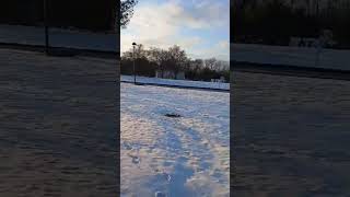 #snow #winter #india