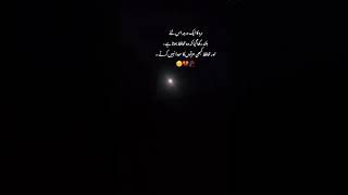 johnelia#johneliapoetry  #johnaliapoetry#johneliabestpoetry #johneliashayari