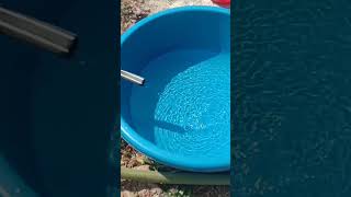 #kamalnathnews #kamalnathlatestnews #rbharattv