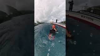 Dive at Dive Ainan, Ehime