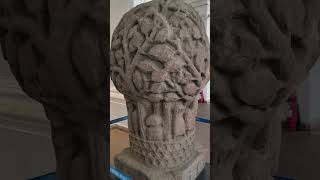 Kalpavruksh at Indian museum Kolkata #indianmuseum #kalpvruksh #kalpvriksh