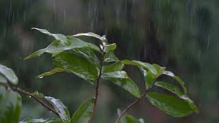 Piano and Rain Sounds for Deep Sleep and Healing Relaxation