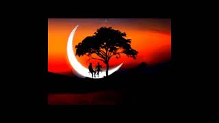 #এই নীলছে মাস আমি সাজাবো বাঁশ#lyeics #viralvideo #banglalyricssong #ToRi