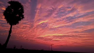 Evening Time -A short video|Aesthetic video|#nature